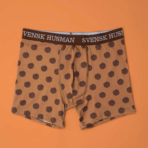 Svenskhusman brown boxer briefs with a chocolate ball motif and white logo on the elastic waistband.